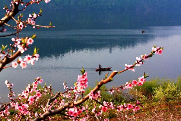 春游江淮請(qǐng)您來(lái)丨清明踏青天堂寨，詩(shī)意美景惹人醉